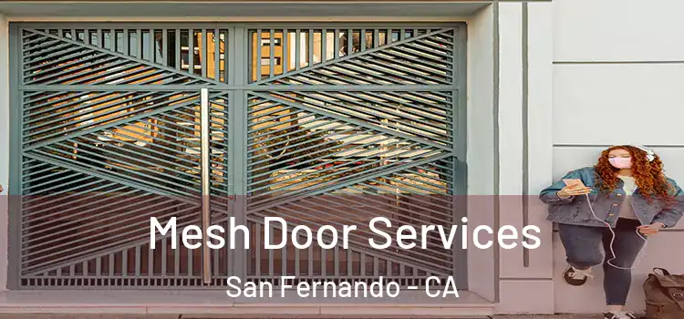  Mesh Door Services San Fernando - CA